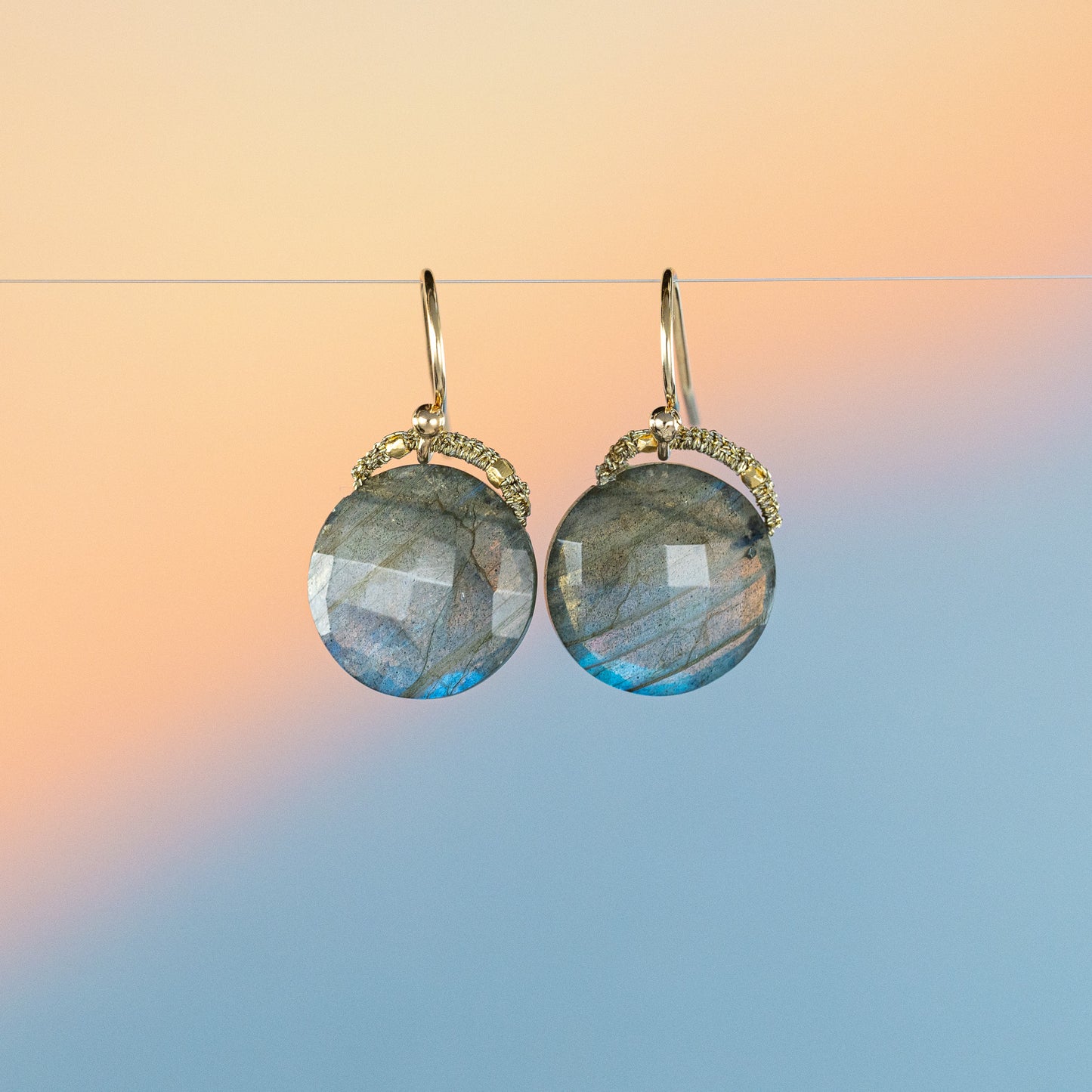 Danielle Welmond Labradorite Coin Drop Earrings with Nugget Accent