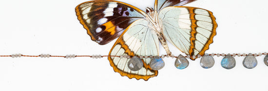Load image into Gallery viewer, Labradorite 9 Petal Necklace
