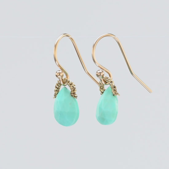 Load and play video in Gallery viewer, Danielle Welmond Sleeping Beauty Turquoise Drop Earrings
