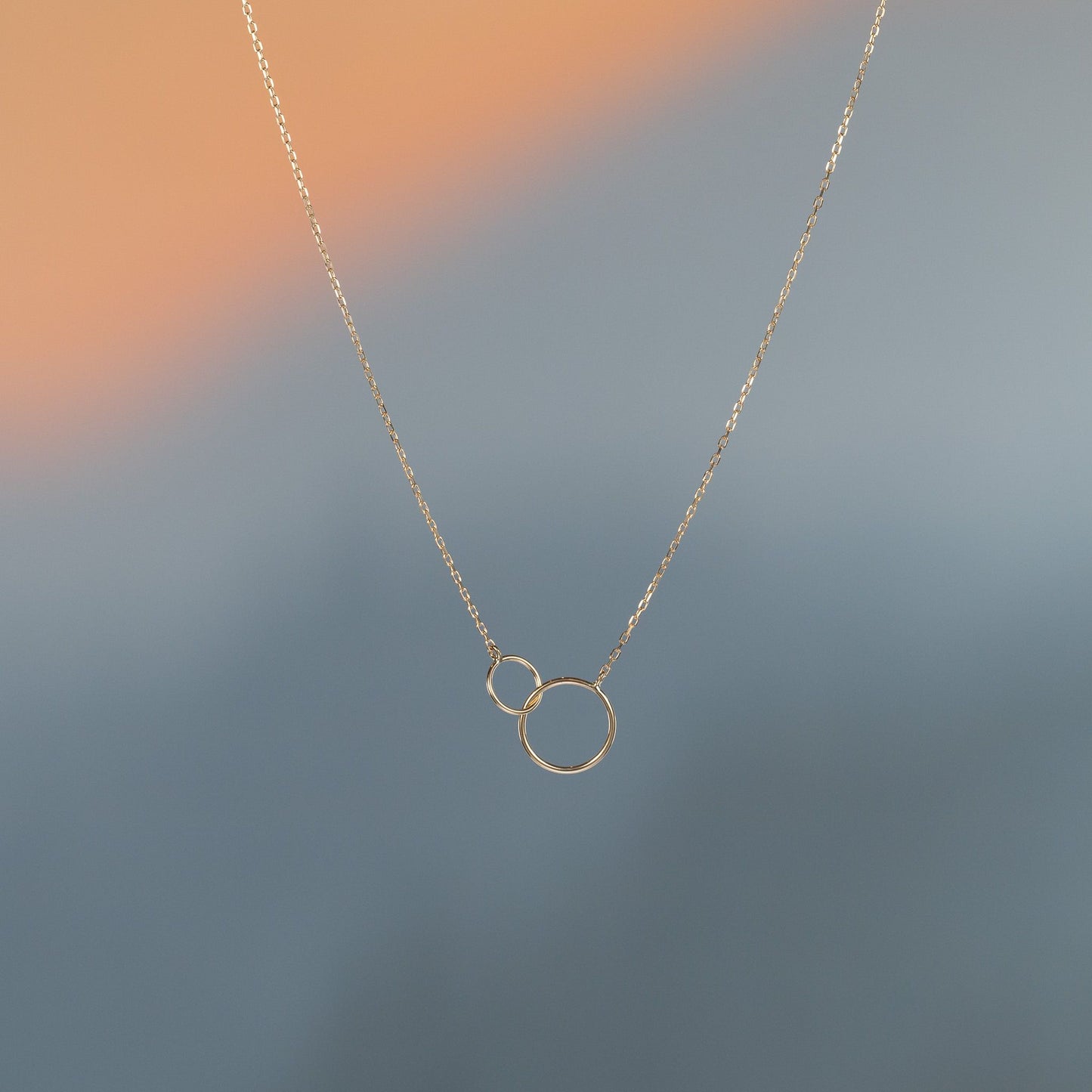 14k Yellow Gold Double Circle Necklace